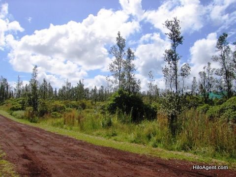 Ainaloa Estates Puna Hawaii