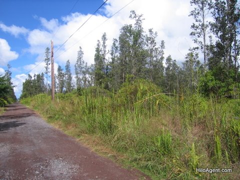 Hawaiian Paradise Park