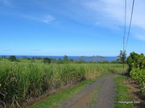 Hamakua Farm Land