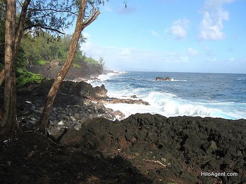 Puna Coast, Hawaii